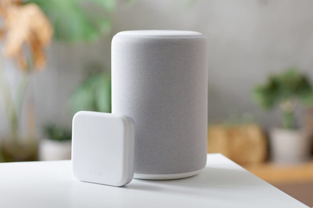 Moment Shooting Lorem