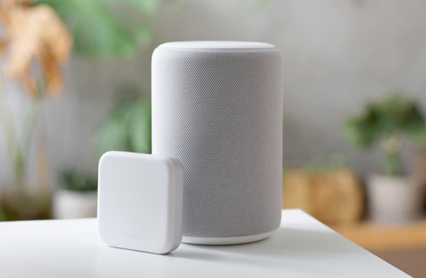 Moment Shooting Lorem